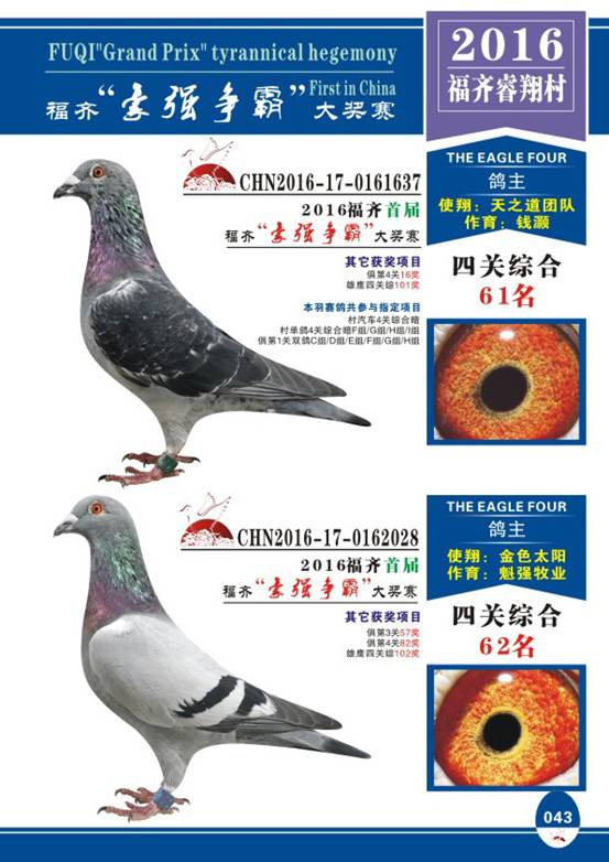 包含欧洲预选赛半年轮回战打响,各路豪强争霸的词条 包含欧洲预选赛半年轮回战打响,各路豪强争霸的词条