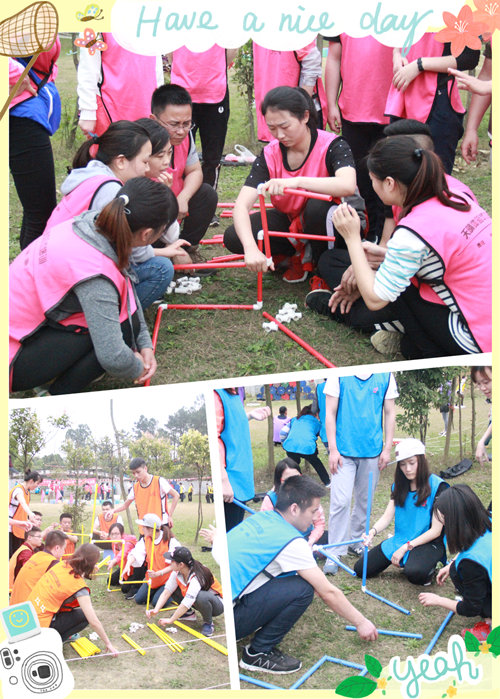 关于拉丁美洲杯赛开幕，实力强队集结争夺荣誉的信息