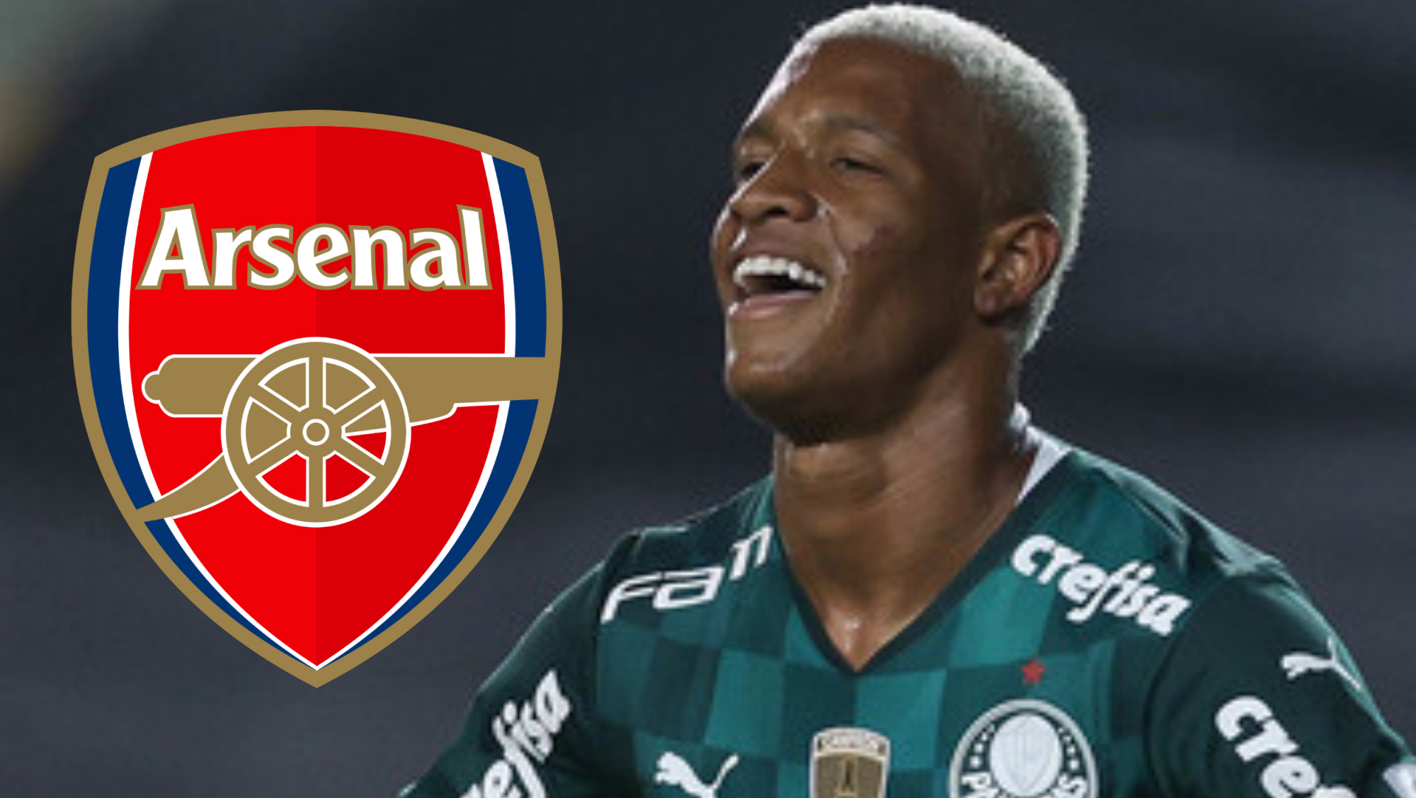 数据分析：帕尔梅拉斯历史战绩与本届展望的简单介绍