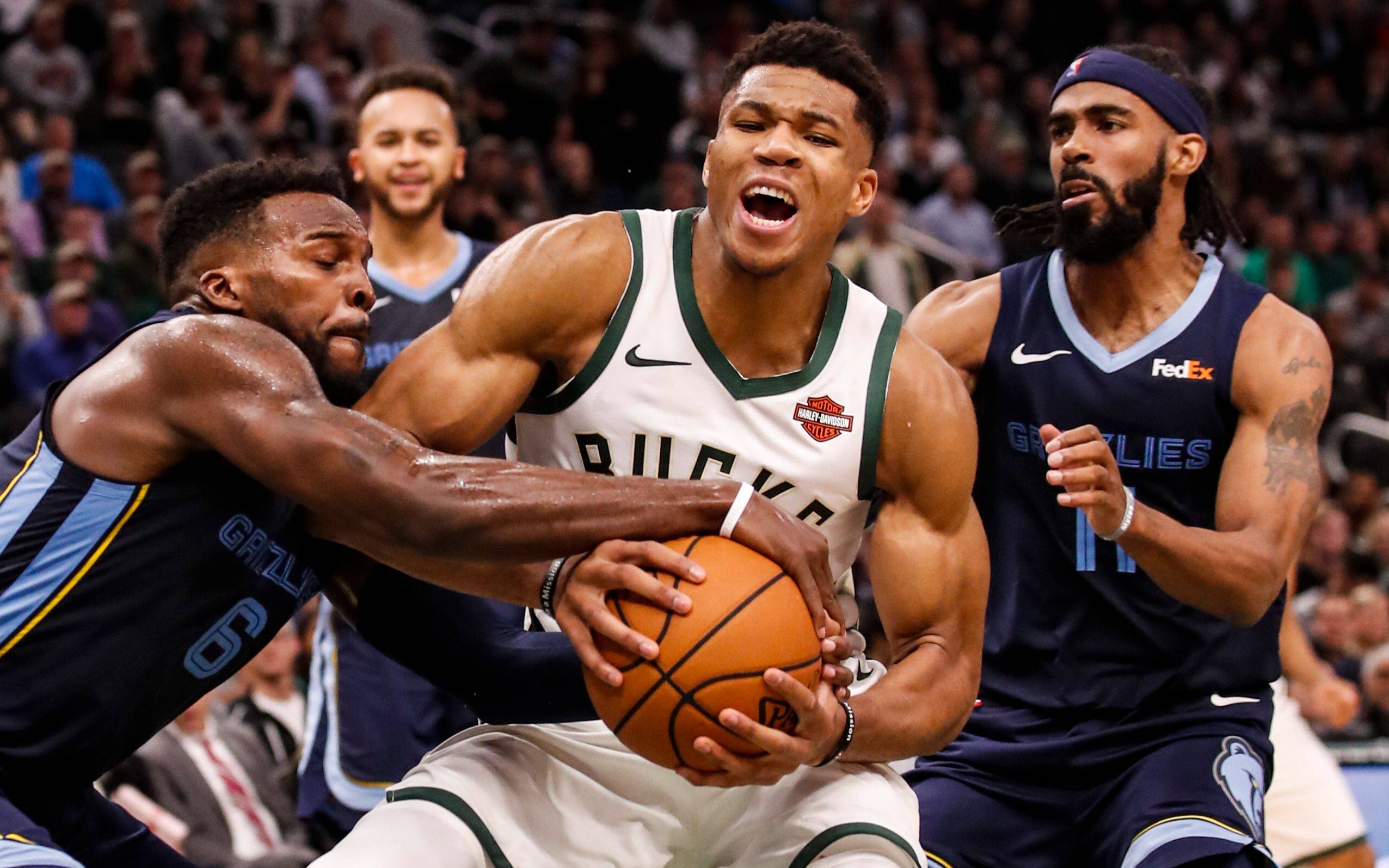 开云体育下载-关于黄蜂队新秀表现出色，力争季后赛的信息