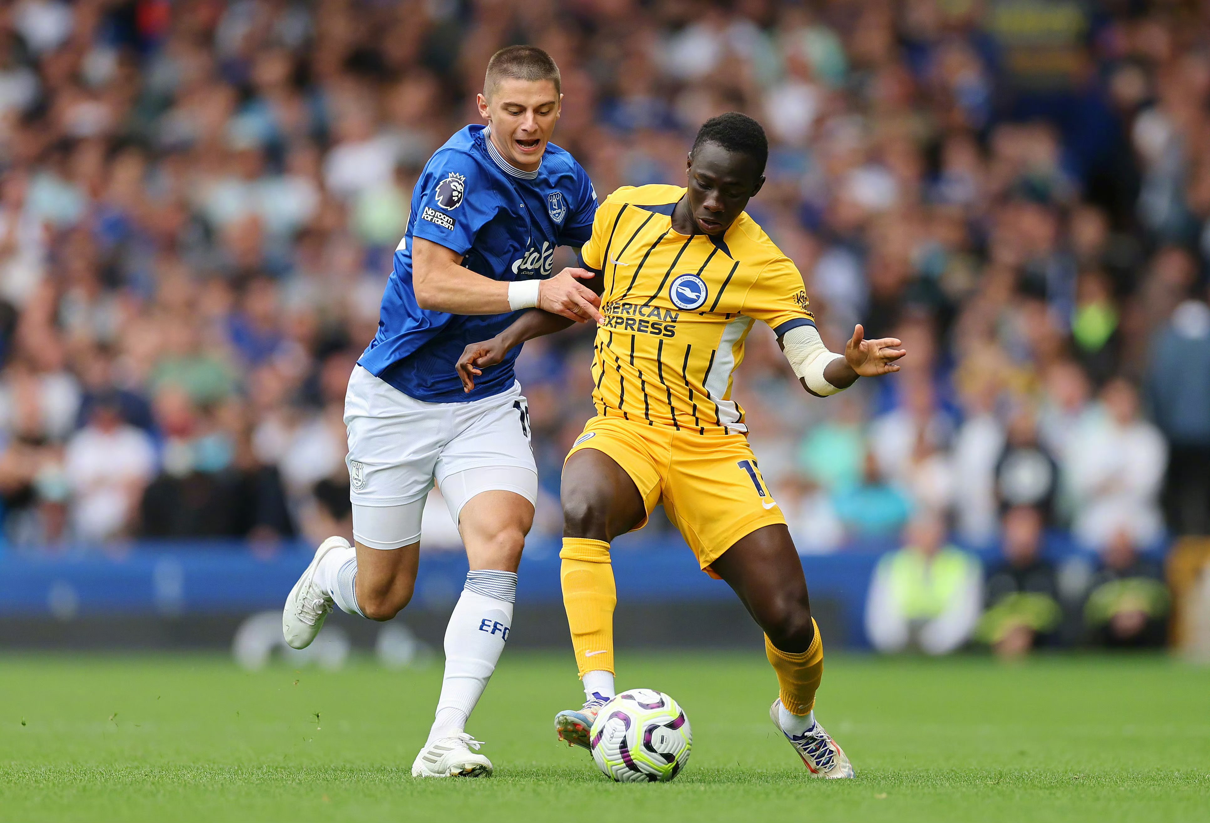 开云体育官方网站-关于布莱顿低迷表现持续，英超征程扑朔迷离的信息