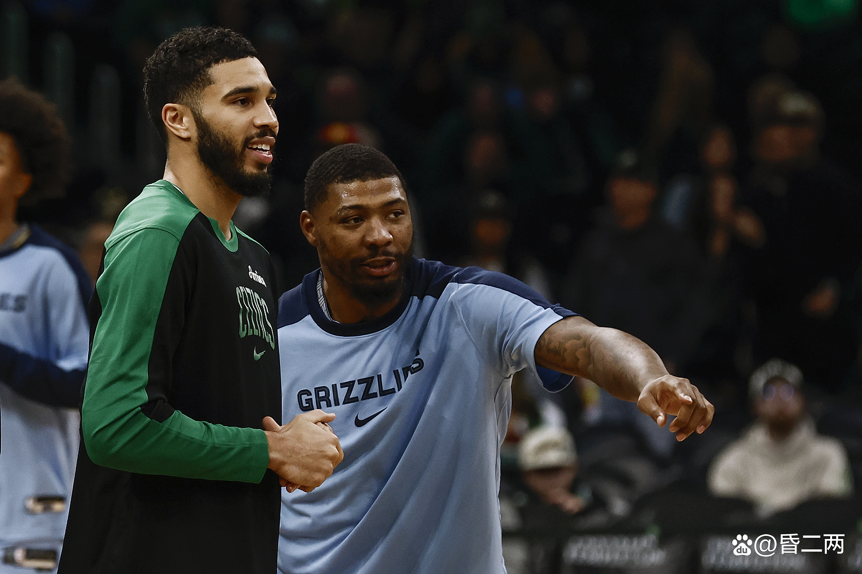 包含灰熊负于猛龙，遭遇两连败的词条