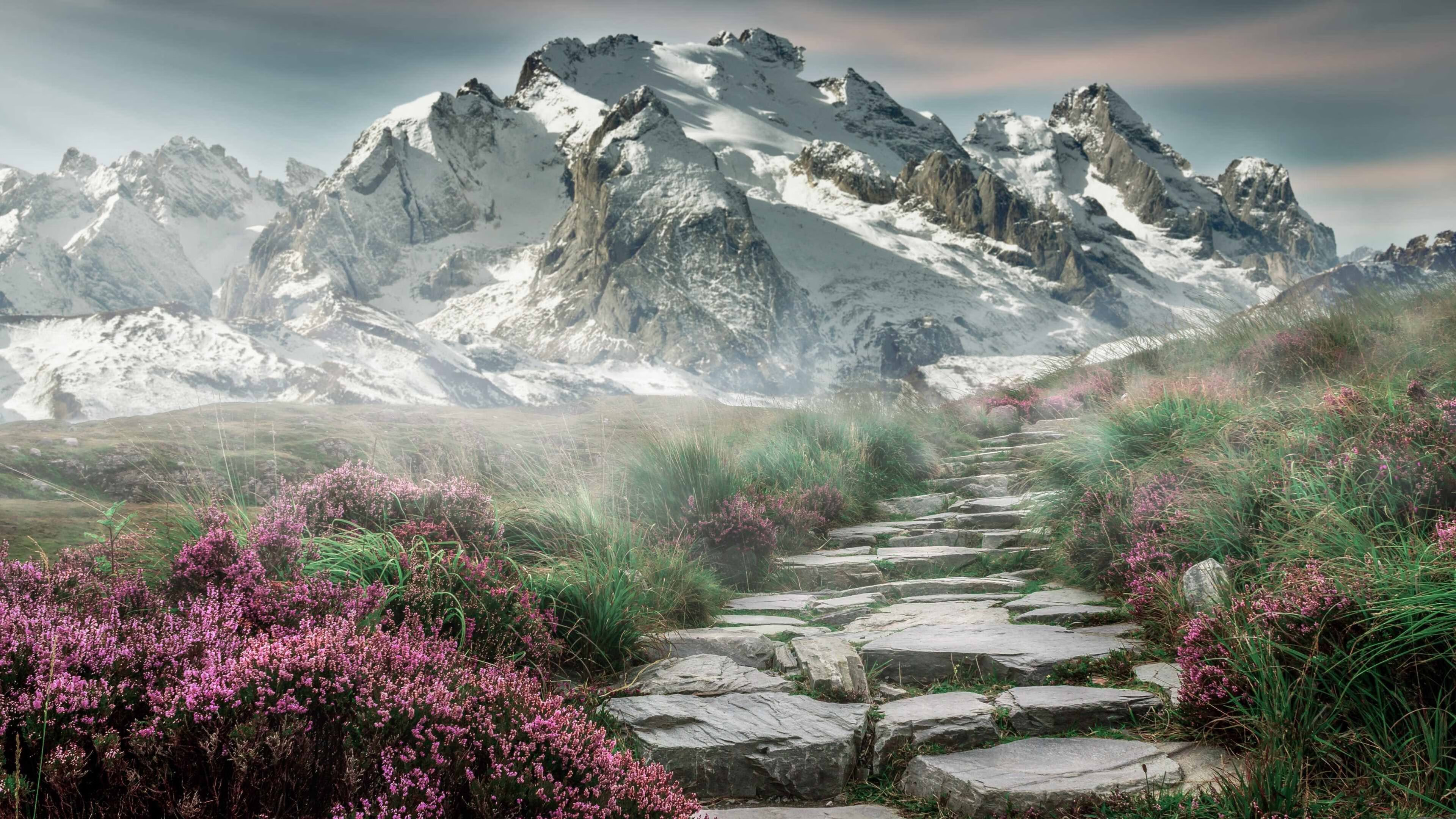 开云体育登录-篮坛巨星照绿茵，当伦纳德哲学点燃德甲争冠夜