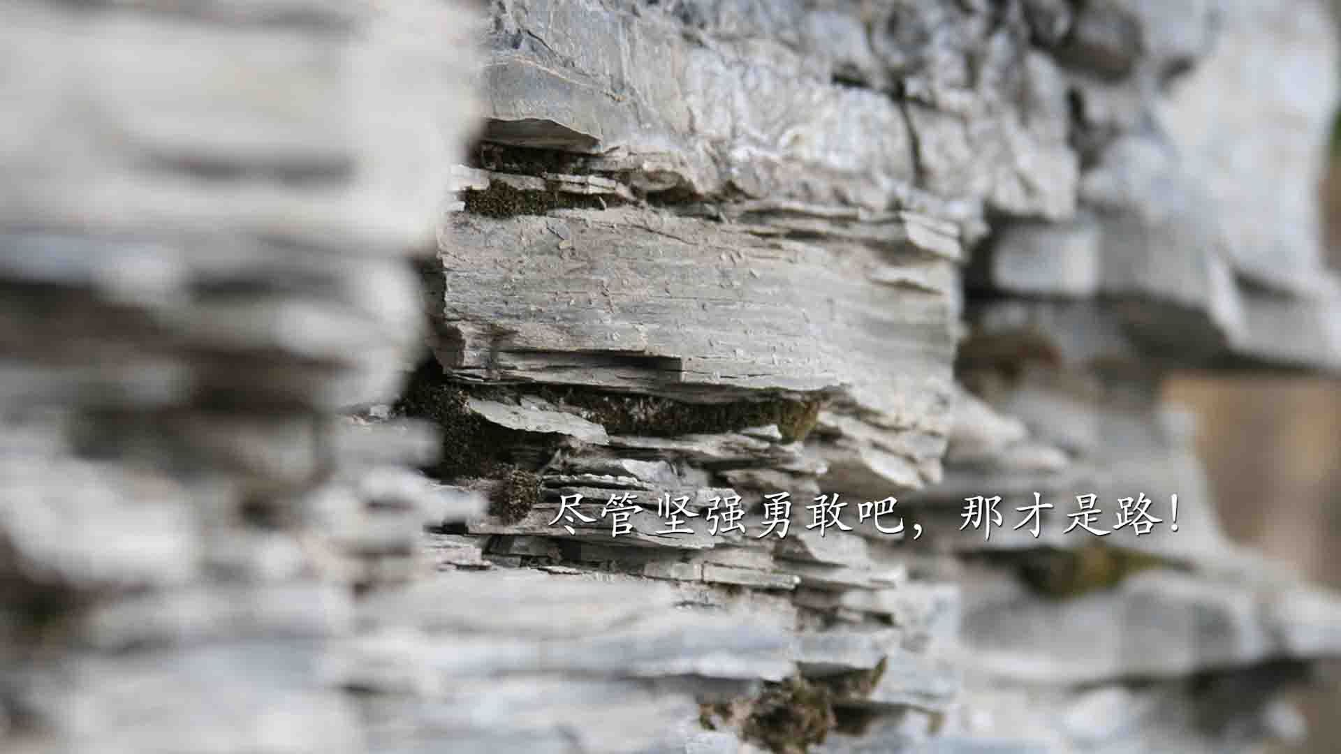 开云体育APP下载-双城记，德甲争冠的数学游戏与马赛的翻盘奇迹