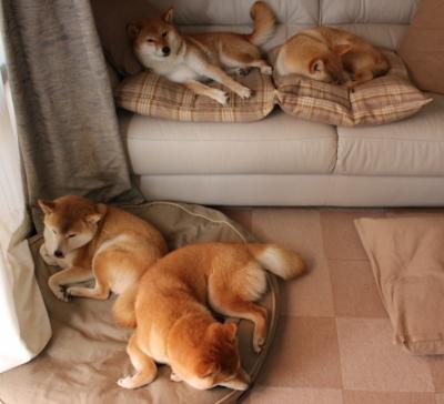 开云体育APP下载-班凯罗打破巨星垄断，西甲国家德比的夜晚，一颗新星以非凡魅力重新定义焦点