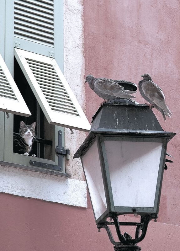 中场魔术师，莫德里奇如何统治西甲国家德比之夜