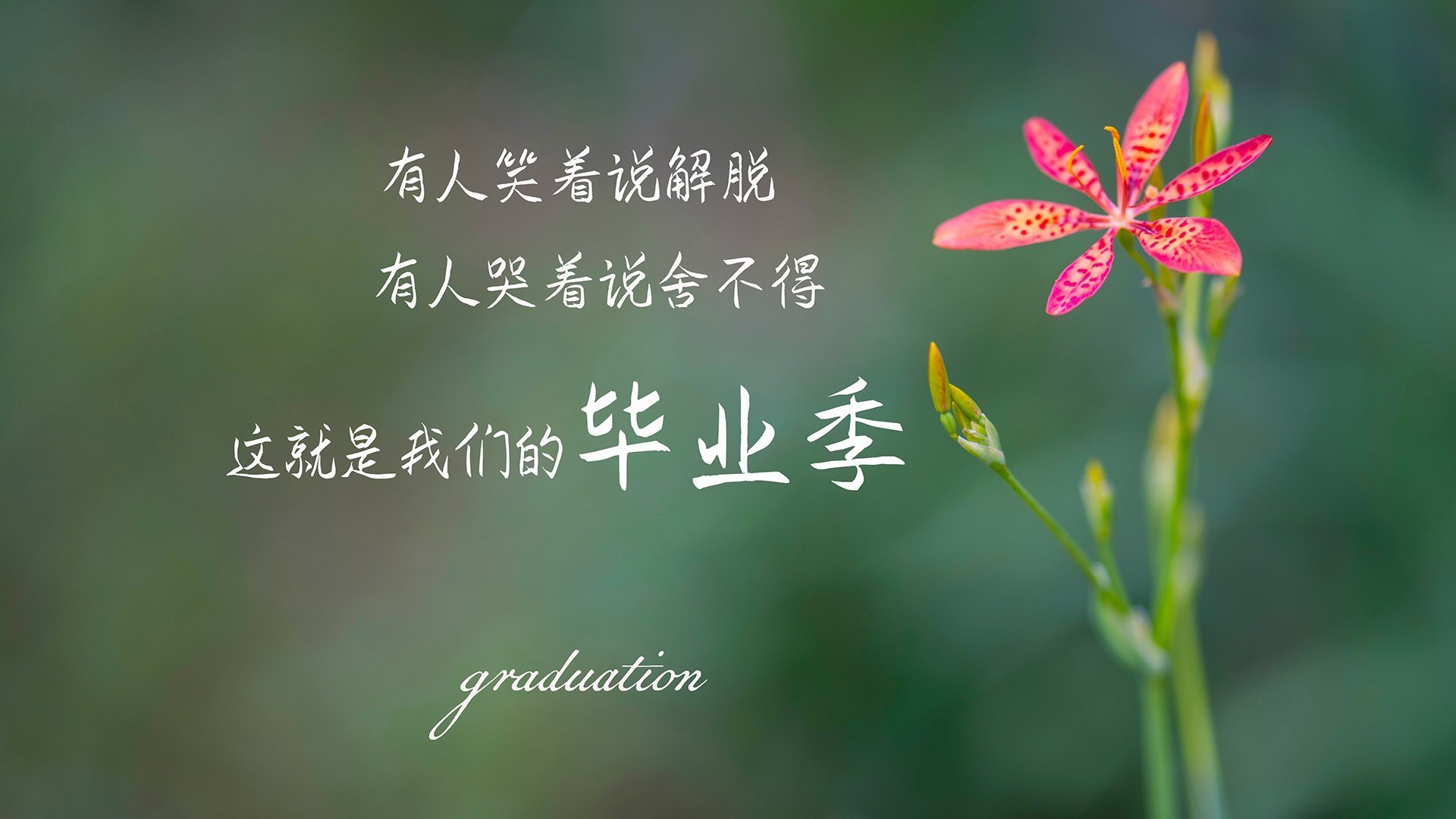 绿茵烽火与硬木硝烟，当命运的齿轮在英超与NBA的焦点战场同步转动