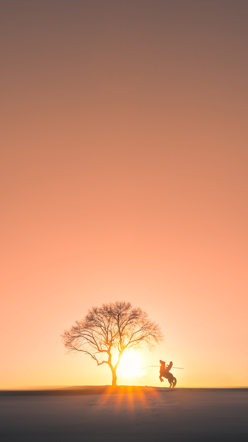 天穹上的工业诗篇，辽宁队以工业化团队篮球碾压爵士，英格拉姆成精密部件中的关键先生