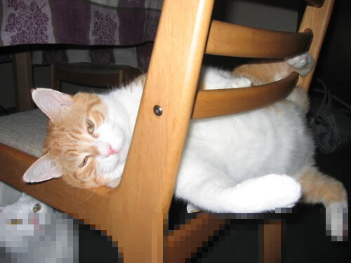 铁闸与利刃，阿劳霍的窒息防守与日本队穿透沙特的战术密码