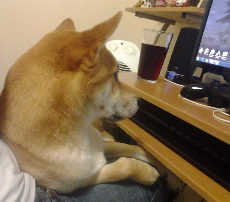 开云体育-克罗地亚巨舰碾碎贝蒂斯，孙兴慜闪耀全场独造三球