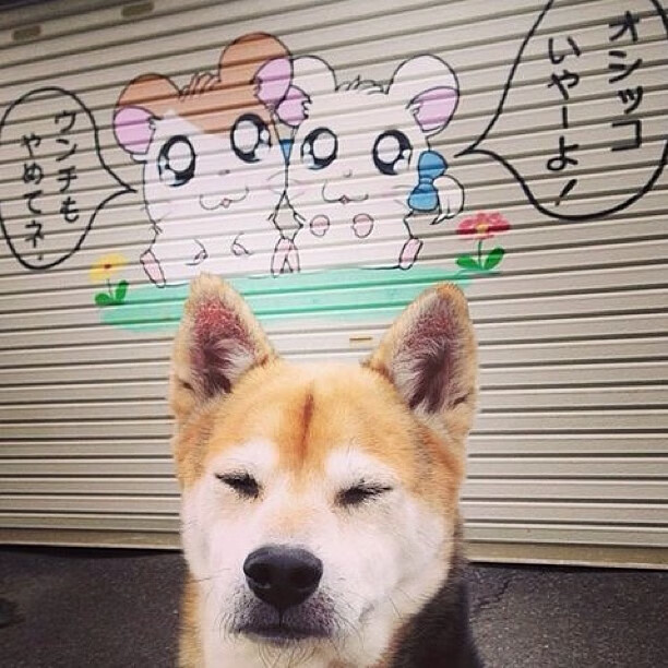 当东方堡垒遭遇西方烈焰，欧冠半决赛的冰与火之歌